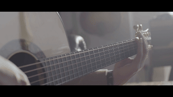 THE NORTH AMERICAN GUITAR